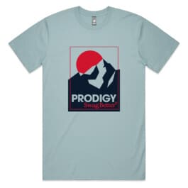Prodigy M45670_1-04 