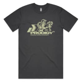 Prodigy M45572_2-07 