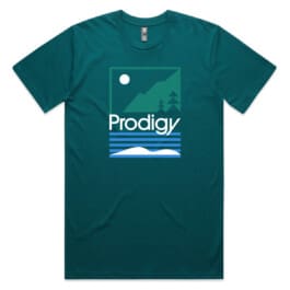 Prodigy M45595_1-13 
